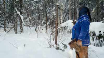 Took our bait, and
these animals have just - Life Below Zero: First Alaskans