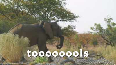 Toooooools... - Absurd Planet