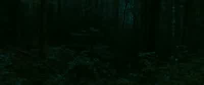 - Top of the next ridge. - The Last of the Mohicans