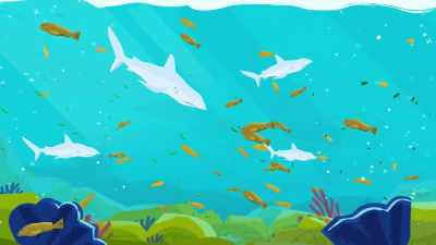 Top predators, they're
consuming everything at - Protecting Paradise: The Story of Niue