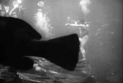 Tostada went out alone
   into the forbidding void. - Creature from the Haunted Sea