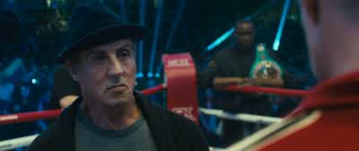 Touch gloves. - Creed II