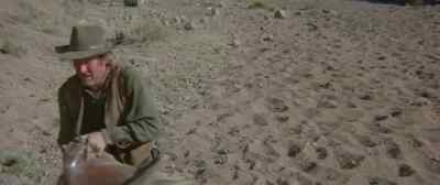 Tough way to make a few dollars. - The Undefeated