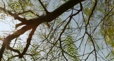 - Toward the end of the
treatment, I was really weak, - Heal