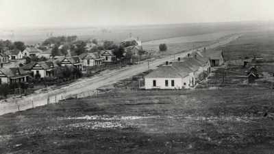 Town builders had
originally hoped - The American Buffalo