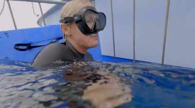 TOWNER: So, to conclude
this experiment, - Shark Attack Files