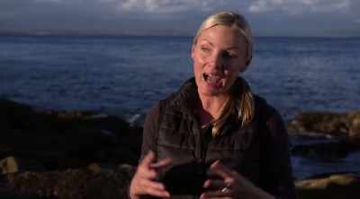 TOWNER: With this experiment,
what we would like to test - Shark Attack Files
