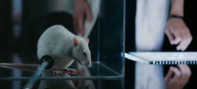 Toxin concentration,
120,000 ppbv. - The Fix