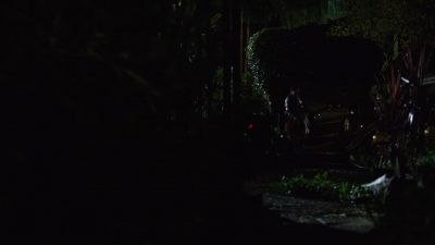 [TRACE SIGHS] - Chesapeake Shores
