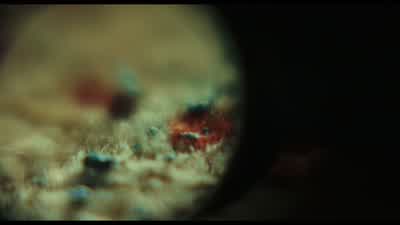 Traces of dried mud. - Knives Out