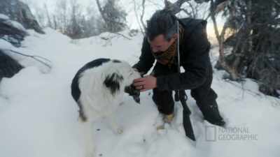 Tracker, drop it. - Life Below Zero: First Alaskans