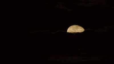 TRACKING A CREATURE
THAT'S NEVER BEEN FILMED - Expedition Mungo