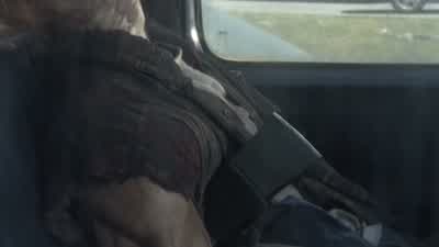 Tracks are gone. - The Walking Dead