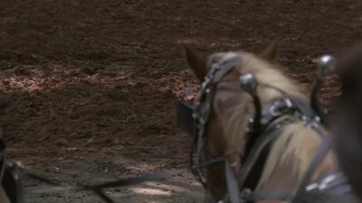 Tracks look fresh. - The Walking Dead