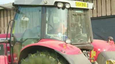 [Tractor Ted beeping] - Tractor Ted