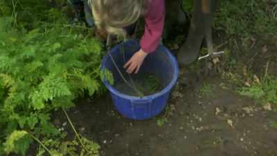 [Tractor Ted]
Carrots grow in the ground, - Tractor Ted