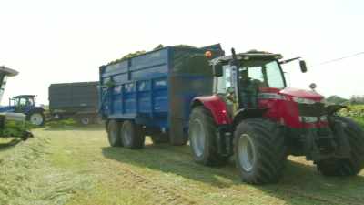 [Tractor Ted]
Wow, the forager has
filled one trailer already. - Tractor Ted