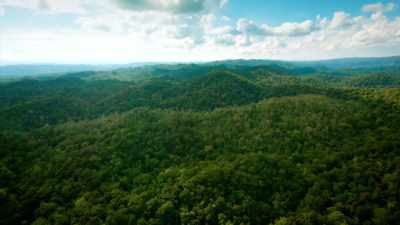 Trade between
distant jungle cities - Lost Treasures of the Maya