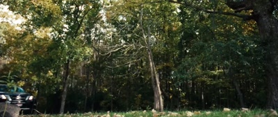 (traffic passing) - Deep Woods