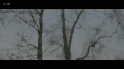 TRAIN WHISTLE BLOWS - Am I Being Unreasonable?