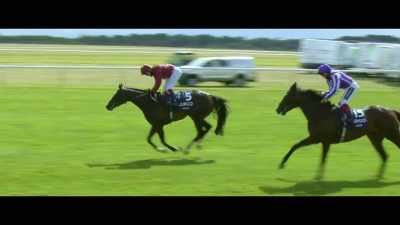 Trainer Andrew Balding
described this horse - Horsepower