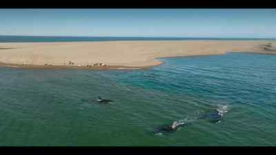 Training for such a dangerous mission
can take seven years. - Our Oceans