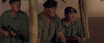 Traitor! - The Green Berets