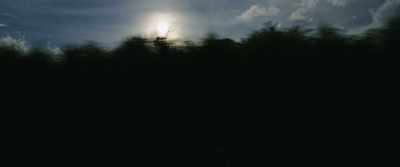 ♪ (TRANQUIL MUSIC PLAYING) ♪ - The Anarchists