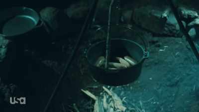 Transfer them to the skillet, - Snake in the Grass