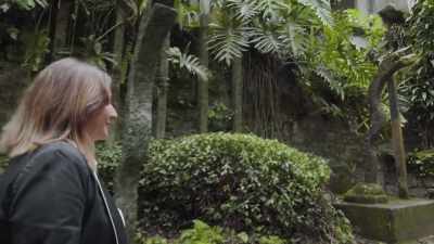[translator] He arrived here
looking for orchids, - Mysteries of the Abandoned