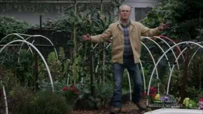 Travel, learn Italian, - Signed, Sealed, Delivered: Higher Ground
