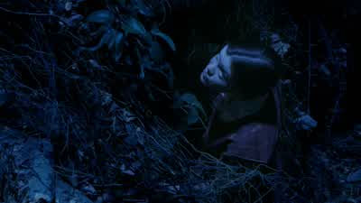LookTravelers of NarniawelcomeAriseAre you not hungryWho are youI'm Liliandil daughter of RamanduI am your guideYou're a starYou are most beautifulIf it is a distraction for you I can change form - The Chronicles of Narnia: The Voyage of the Dawn Treader