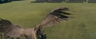 Treachery! - The Chronicles of Narnia: Prince Caspian