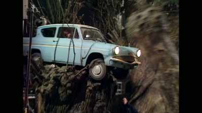 -Tree comes down and hits!
-(creaks) - David Holmes: The Boy Who Lived
