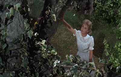 Tree, I sure wish Pete
were more like Mr. Freeman. - Tammy Tell Me True