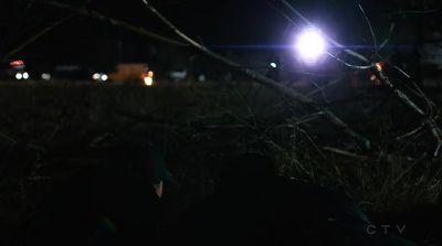 Tree line! - Designated Survivor