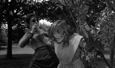 Tree. - The Miracle Worker