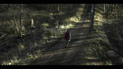 (trees creaking) - The Third Day