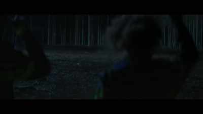 Trees, grass, leaves.
Forest, this is a forest. - Captain Nova