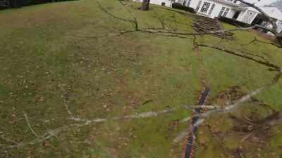 Trees will gobble you
up and not let you fall - Flowstate: The FPV Drone Documentary