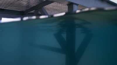 Trent'. All right, she's out. - Deep Blue Sea 2