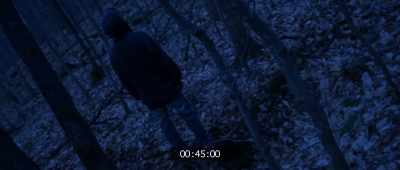 Trey! Can you please answer me? - The Gracefield Incident