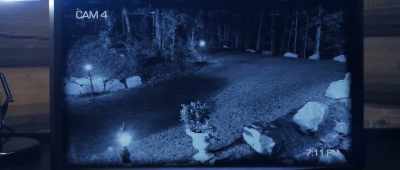 - Trey.
- No. No. - The Gracefield Incident