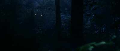 Trey! Trey! Are you there? - The Gracefield Incident