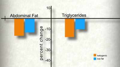 Triglycerides--
one of the key markers - The Magic Pill