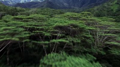 (trilling) - Hawaii Five-0