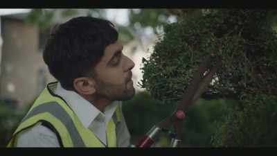 ♪ Trim that bush
Will you trim that bush? - Passenger