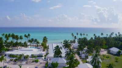 (tropical music)
♪ - Island of Bryan