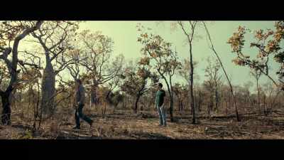 (TROUBLING MUSIC) - Population 11
