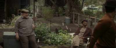 Troy, leave your boy alone.
He come by to see you - Fences